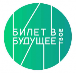 педагоги-навигаторы проекта «Билет в будущее» Смоленской области приняли участие в обучающем семинаре - фото - 6